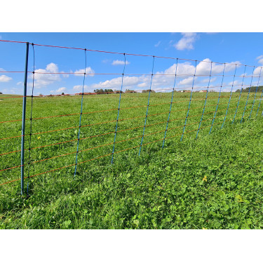 TitanNet Premium AKO Blu / arancione