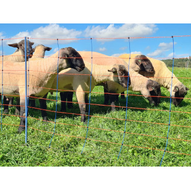 TitanNet Premium AKO Blu / arancione