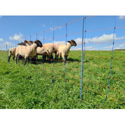 TitanNet Premium AKO Blu / arancione