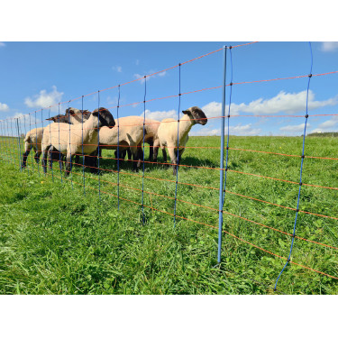 TitanNet Premium AKO Blu / arancione