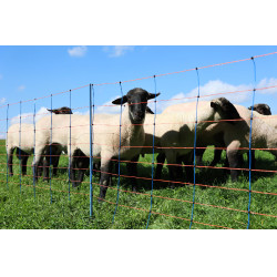 TitanNet Premium AKO Blu / arancione