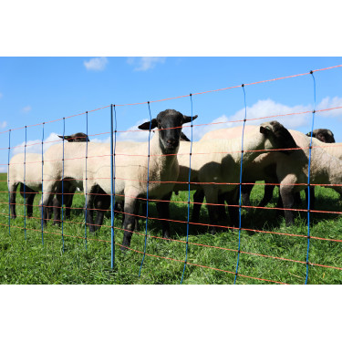 TitanNet Premium AKO Blu / arancione