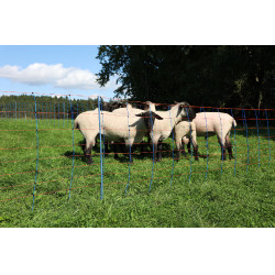 TitanNet Premium AKO Blu / arancione