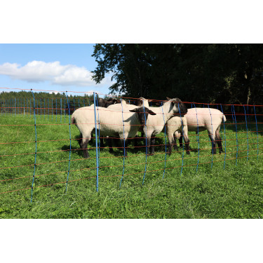 TitanNet Premium AKO Blu / arancione