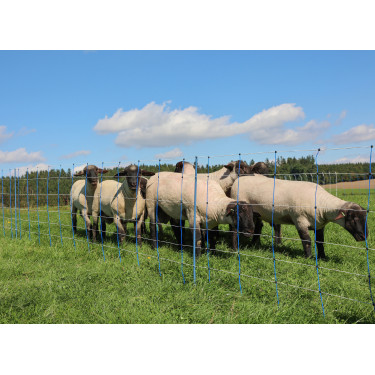 TitanNet Premium Plus AKO Blu / bianco