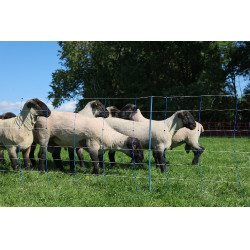 TitanNet Premium Plus AKO Blu / bianco