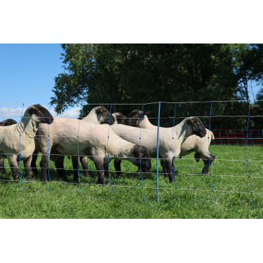 TitanNet Premium Plus AKO Blu / bianco