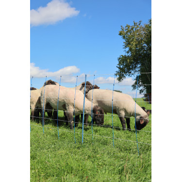 TitanNet Premium Plus AKO Blu / bianco