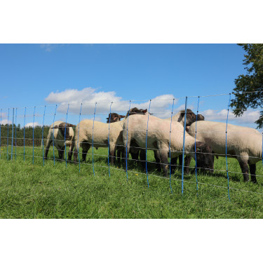 TitanNet Premium Plus AKO Blu / bianco