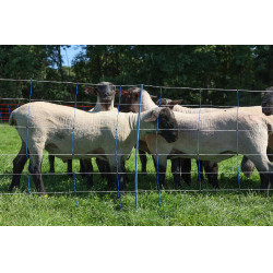 TitanNet Premium Plus AKO Blu / bianco