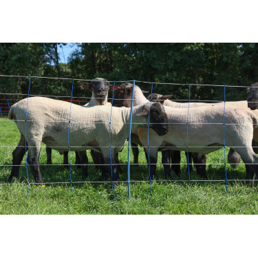 TitanNet Premium Plus AKO Blu / bianco