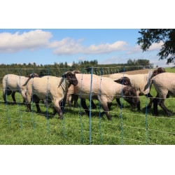 TitanNet Premium Plus AKO Blu / bianco