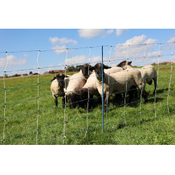 TitanNet Premium Vario AKO Bianco / blu TitanNet Premium Vario AKO Bianco / blu