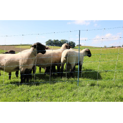 TitanNet Premium Vario AKO Bianco / blu TitanNet Premium Vario AKO Bianco / blu