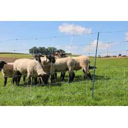 TitanNet Premium Vario AKO Bianco / blu TitanNet Premium Vario AKO Bianco / blu