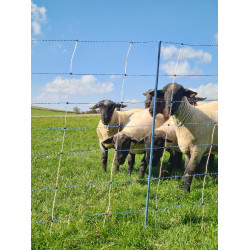 TitanNet Premium Vario AKO Bianco / blu TitanNet Premium Vario AKO Bianco / blu