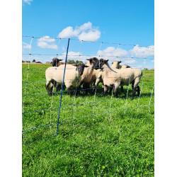 TitanNet Premium Vario AKO Bianco / blu TitanNet Premium Vario AKO Bianco / blu