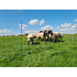 TitanNet Premium Vario AKO Bianco / blu TitanNet Premium Vario AKO Bianco / blu