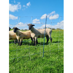 TitanNet Premium Vario AKO Bianco / blu TitanNet Premium Vario AKO Bianco / blu