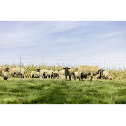 TitanNet Premium XBraid AKO Bianco / blu