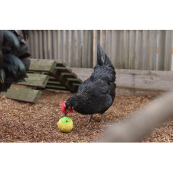 Palla snack Kerbl Hobbyfarming Giallo Palla snack Kerbl Hobbyfarming Giallo