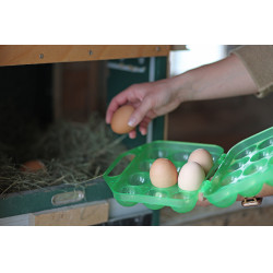 Scatola di trasporto per uova Kerbl Hobbyfarming Verde trasparente