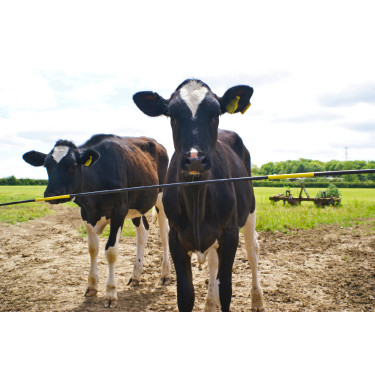 Cerniera di ricambio Electro Gate Kerbl Nero / giallo