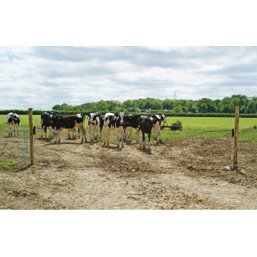 Cerniera di ricambio Electro Gate Kerbl Nero / giallo