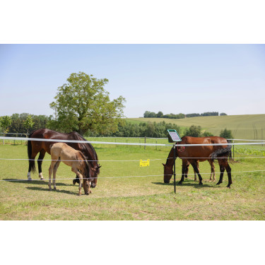 Cordicella per recinzione PlatinumLine AKO Bianco / blu