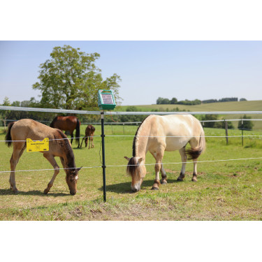 Cordicella per recinzione PlatinumLine AKO Bianco / blu
