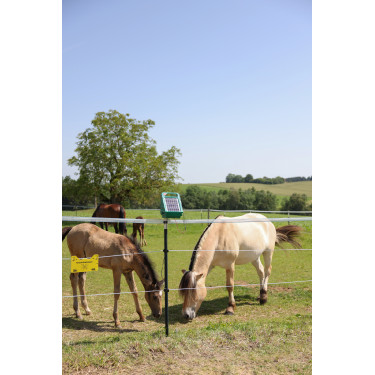 Cordicella per recinzione PlatinumLine AKO Bianco / blu