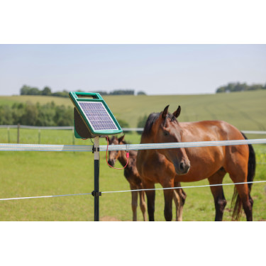 Cordicella per recinzione PlatinumLine AKO Bianco / blu