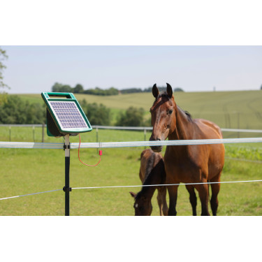 Cordicella per recinzione PlatinumLine AKO Bianco / blu