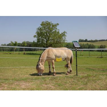 Cordicella per recinzione PlatinumLine AKO Bianco / blu