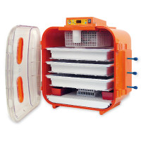Incubatrice Covatutto 162 digitale Kerbl Hobbyfarming Arancione