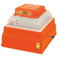 Incubatrice Covatutto 24 digitale Kerbl Hobbyfarming Rosso Incubatrice Covatutto 24 digitale Kerbl Hobbyfarming Rosso