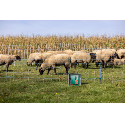 Duo Power Xi 8000 AKO Verde Duo Power Xi 8000 AKO Verde