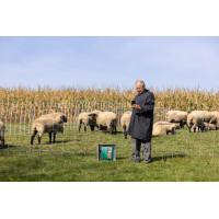 Duo Power Xi 8000 smart AKO Verde