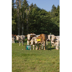 Duo Power Xi 8000 smart AKO Verde