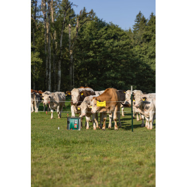 Duo Power Xi 8000 smart AKO Verde