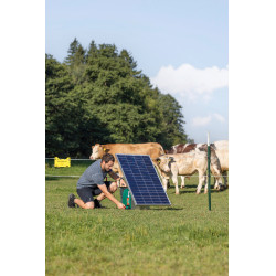 Duo Power Xi 8000 smart AKO Verde