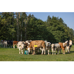 Duo Power Xi 8000 smart AKO Verde