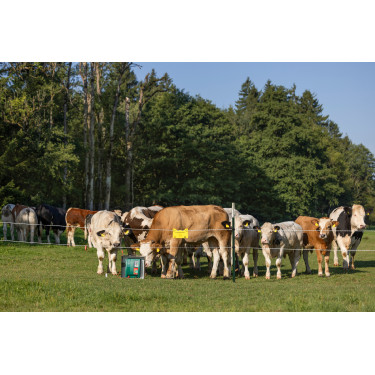 Duo Power Xi 8000 smart AKO Verde