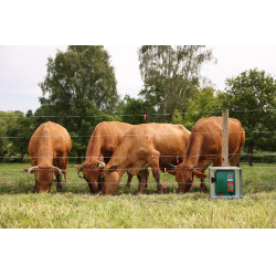 Filo per recinzione PlatinumLine AKO Bianco / blu Filo per recinzione PlatinumLine AKO Bianco / blu