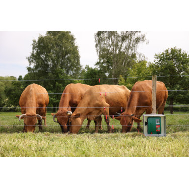 Filo per recinzione PlatinumLine AKO Bianco / blu Filo per recinzione PlatinumLine AKO Bianco / blu