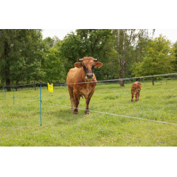 Filo per recinzione PlatinumLine AKO Bianco / blu Filo per recinzione PlatinumLine AKO Bianco / blu