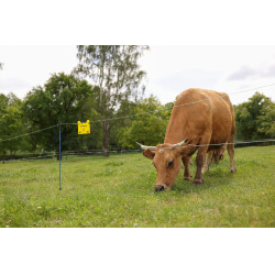 Filo per recinzione PlatinumLine AKO Bianco / blu Filo per recinzione PlatinumLine AKO Bianco / blu