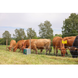 Filo per recinzione PlatinumLine AKO Bianco / blu Filo per recinzione PlatinumLine AKO Bianco / blu