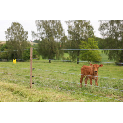 Filo per recinzione PlatinumLine AKO Bianco / blu Filo per recinzione PlatinumLine AKO Bianco / blu