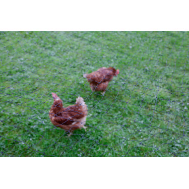 Rete di protezione per pollame AKO Nero Rete di protezione per pollame AKO Nero